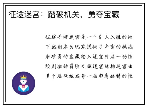 征途迷宫：踏破机关，勇夺宝藏